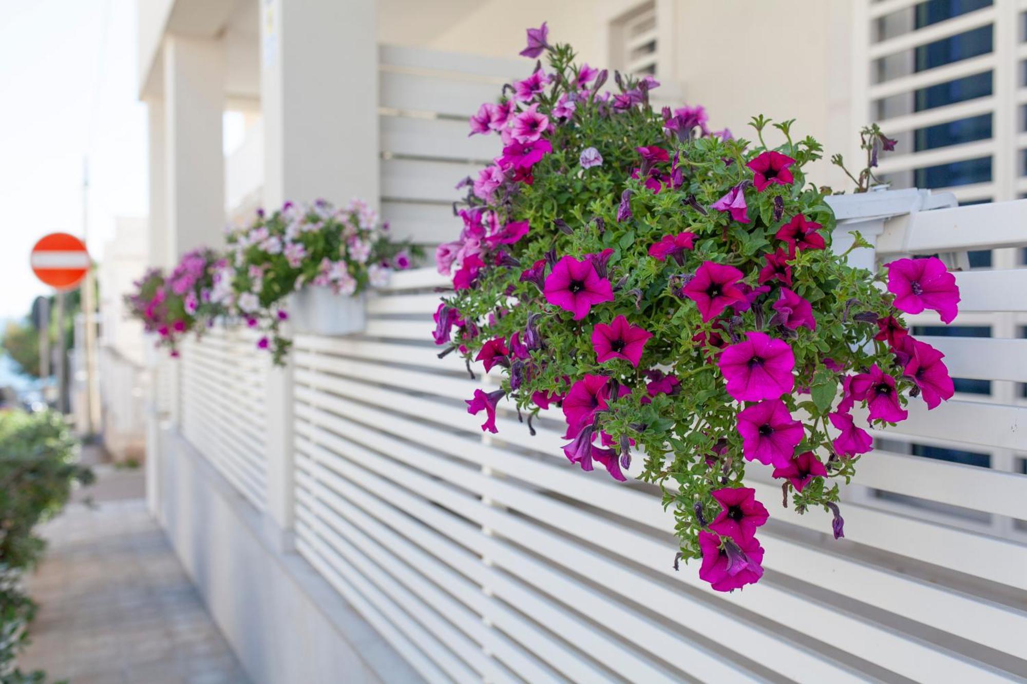 Bed and Breakfast Dimora Nesea Cozze Экстерьер фото